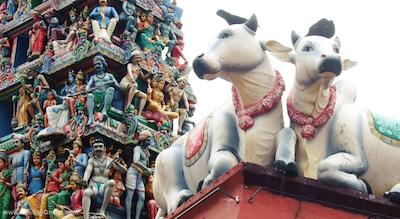 ناومی لیورا