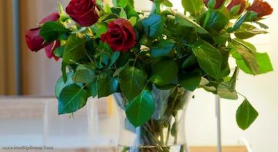 پرگامین اپارتهتل