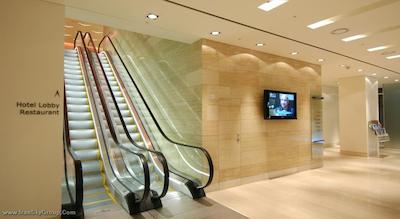 بست وسترن پرمیر کوکدو