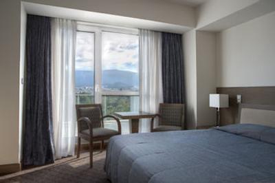 امالیا آتن هتل