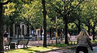 ادلون کمپینسکی