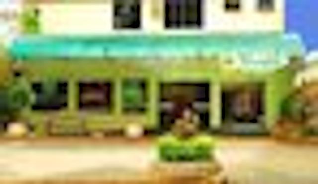 بست وسترن تاروبا