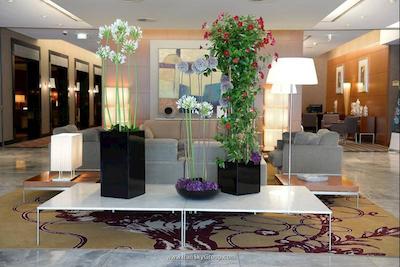 موندیال ام دم کلن ام گالری بای سوفیتل