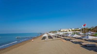 گورال پرمیر بلک