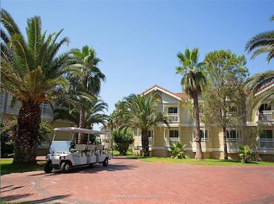 گورال پرمیر بلک