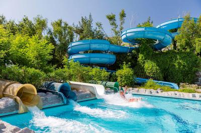 گورال پرمیر بلک