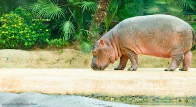 پالاس برلین