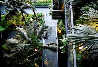 رنسانس بارسلونا فیرا