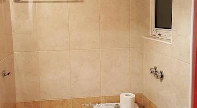 آریستوتیلس