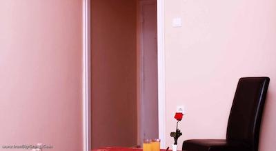 آریستوتیلس