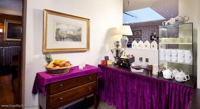 کلاریون کالکشن باسشن