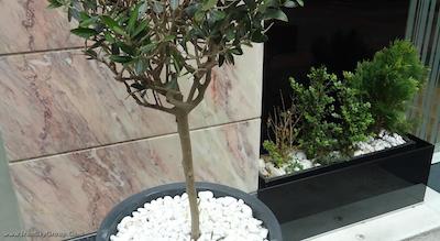 کاسموپلیت آتن هتل