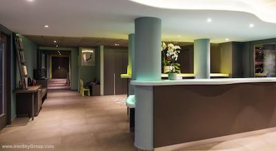 آیبیس استایلز لیون کانفلوئنس