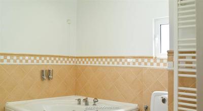 بست وسترن ایلیزیا