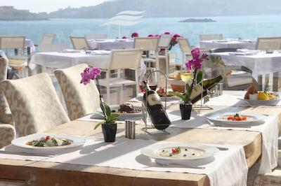 پالمالایف بدروم ریزورت اند اسپا