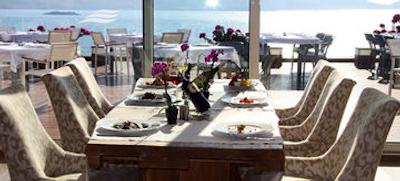 پالمالایف بدروم ریزورت اند اسپا