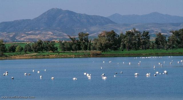 امورگوس بوتیک هتل