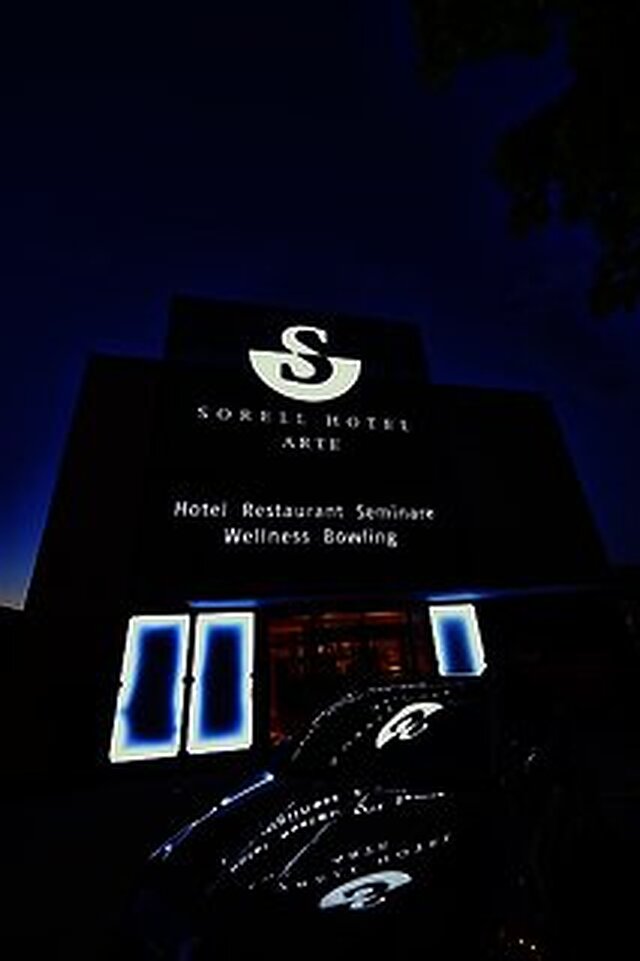 سورل آرت