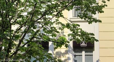 بست وسترن لا ژولیت