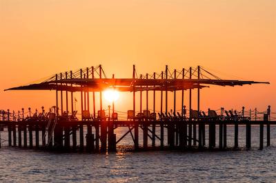 سوسسی لاکچری ریزورت