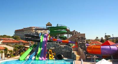 پاپیلون بلویل