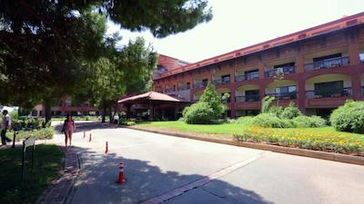 پاپیلون بلویل