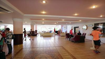 پاپیلون بلویل