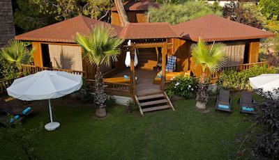 پاپیلون بلویل