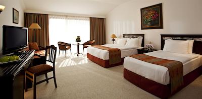 پاپیلون بلویل