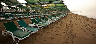 پاپیلون بلویل