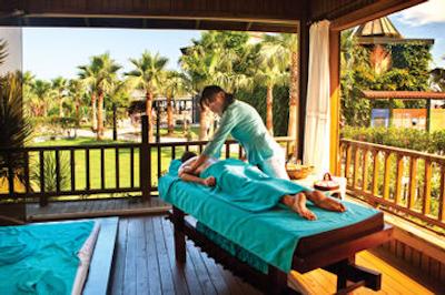 پاپیلون بلویل