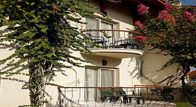 پاپیلون بلویل