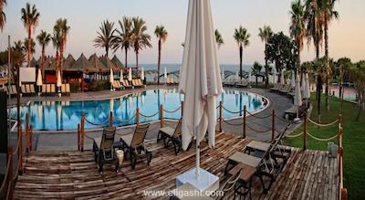 پاپیلون بلویل