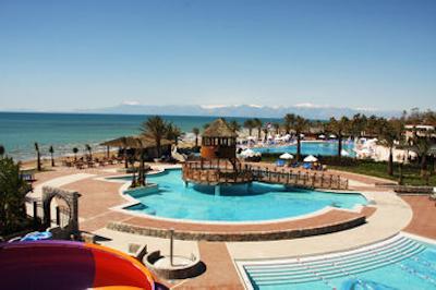 پاپیلون بلویل