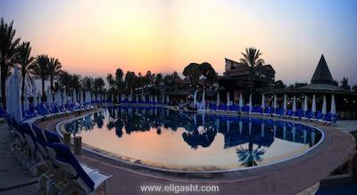 پاپیلون بلویل