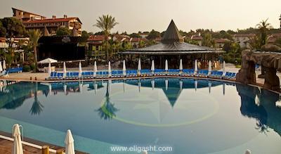 پاپیلون بلویل