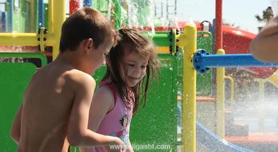 پاپیلون بلویل