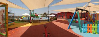 پاپیلون بلویل