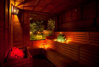 پاپیلون بلویل