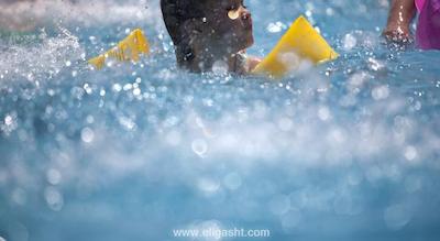 پاپیلون بلویل