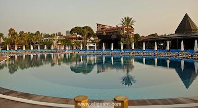 پاپیلون بلویل