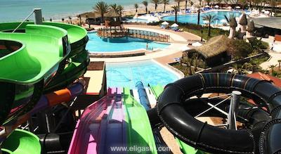 پاپیلون بلویل