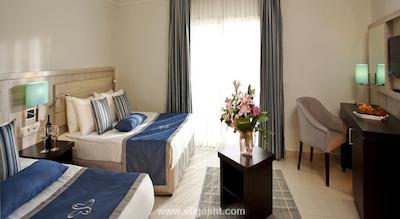 پاپیلون بلویل