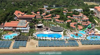 پاپیلون بلویل