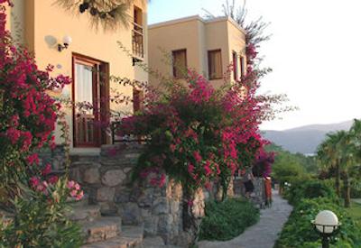 کلاب بلو دریمز