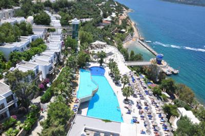 کلاب بلو دریمز