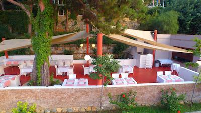 کلاب بلو دریمز