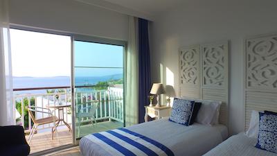 کلاب بلو دریمز