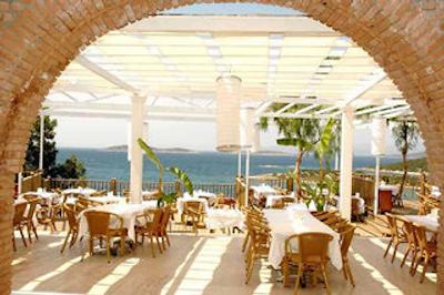 کلاب بلو دریمز