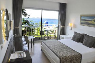 کلاب بلو دریمز